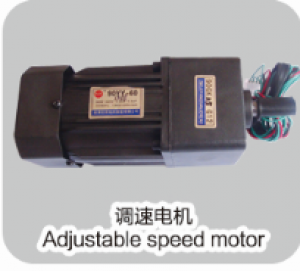 调速电机 adjustable speed motor